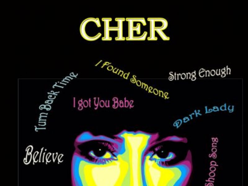 cher alike